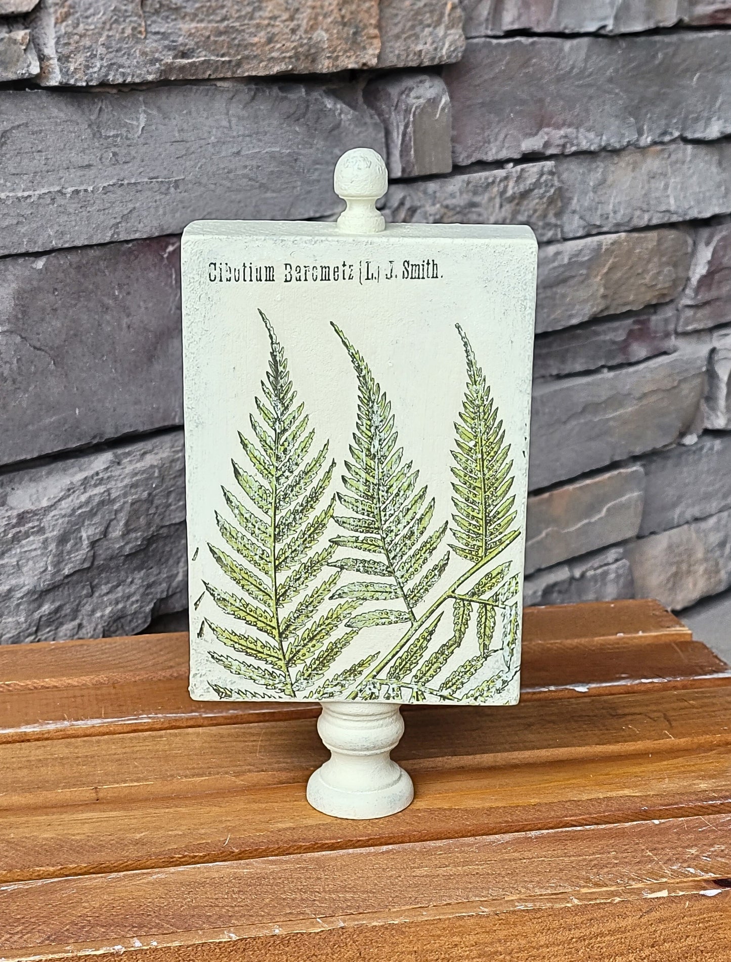 Botanical Fern Plaque on Pedestal Stand (Large)