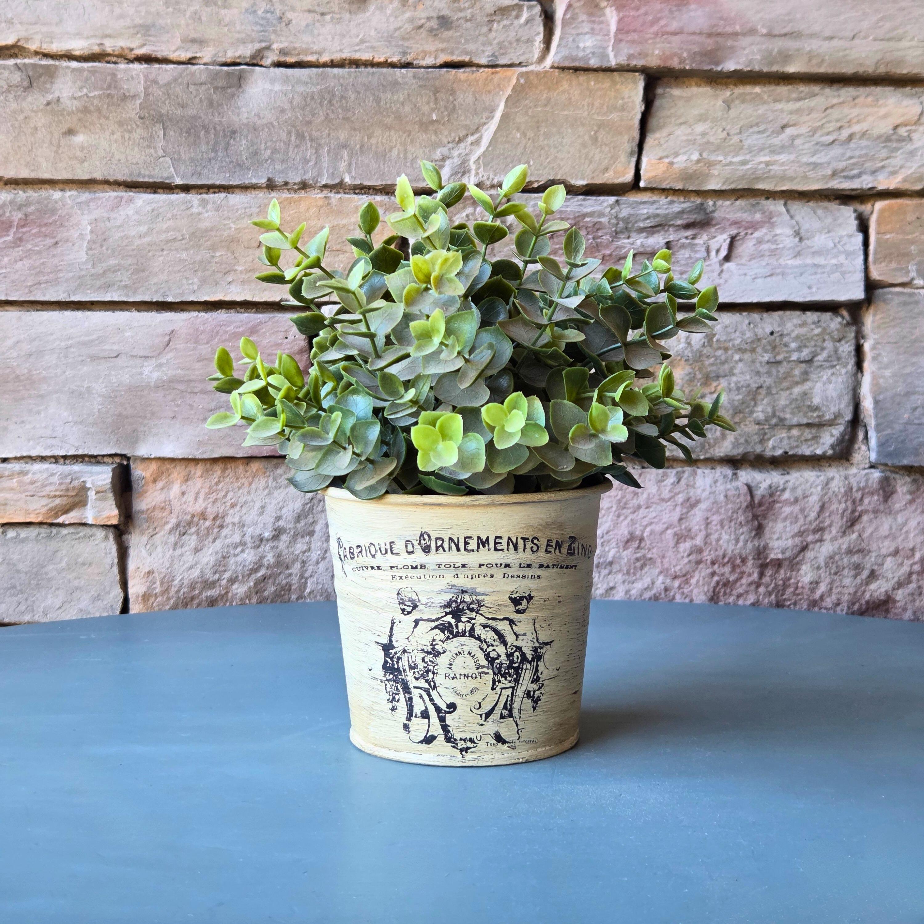 French Painted Metal Decorative Pot with Vintage Typography  Rustic Garden Accent