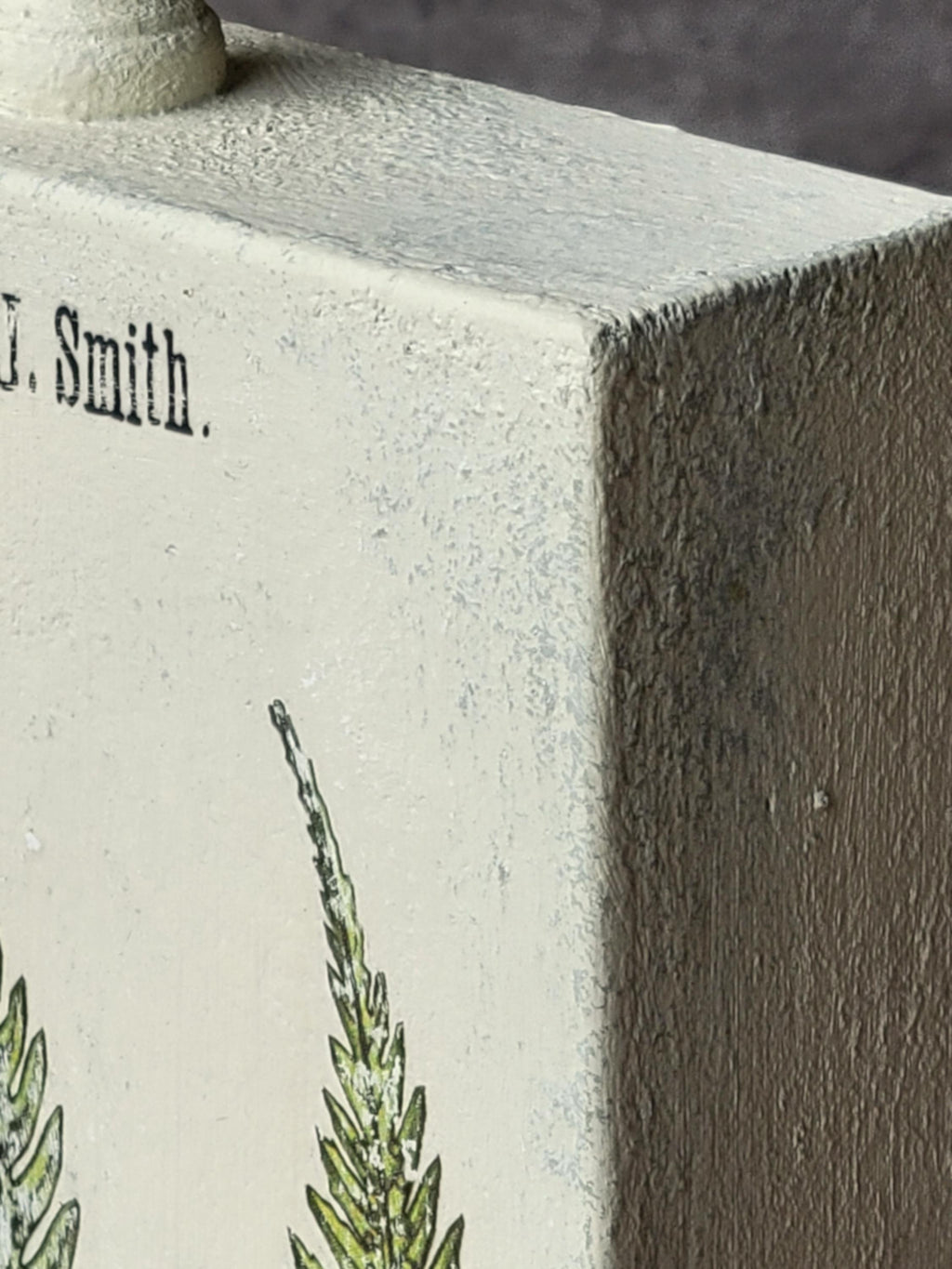 Vintage Botanical Fern Print - Nature-Inspired, Rustic Shelf Accent