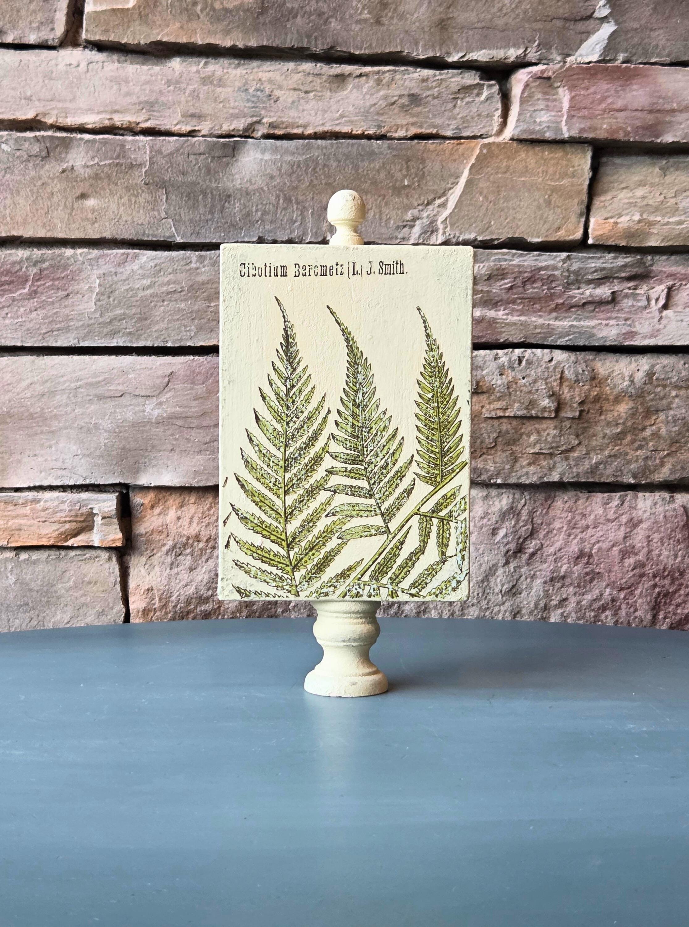 Vintage Botanical Fern Print - Nature-Inspired, Rustic Shelf Accent