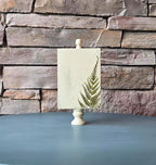 Vintage Botanical Fern Print - Nature-Inspired, Rustic Shelf Accent