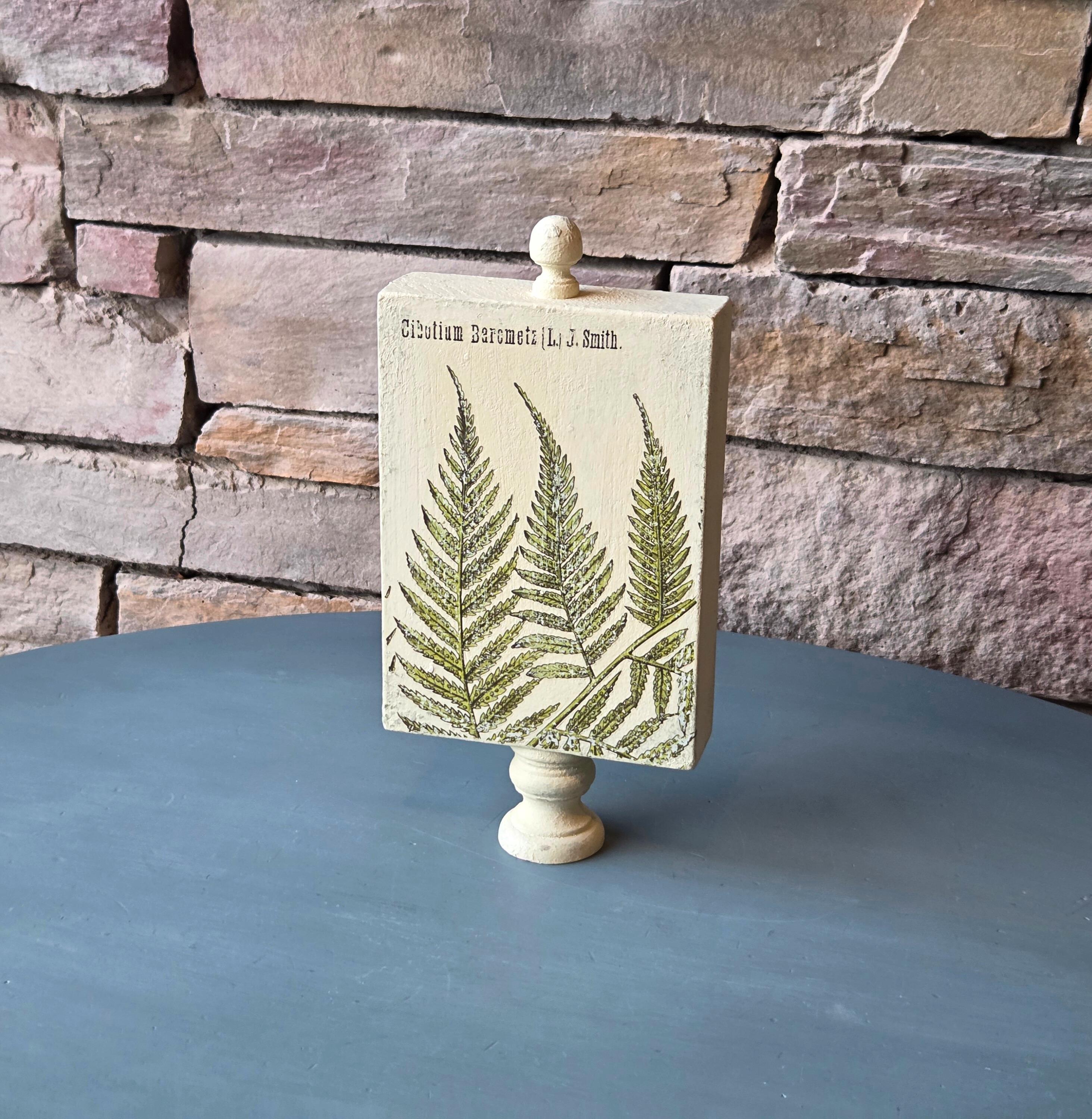 Vintage Botanical Fern Print - Nature-Inspired, Rustic Shelf Accent