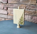 Vintage Botanical Fern Print - Nature-Inspired, Rustic Shelf Accent